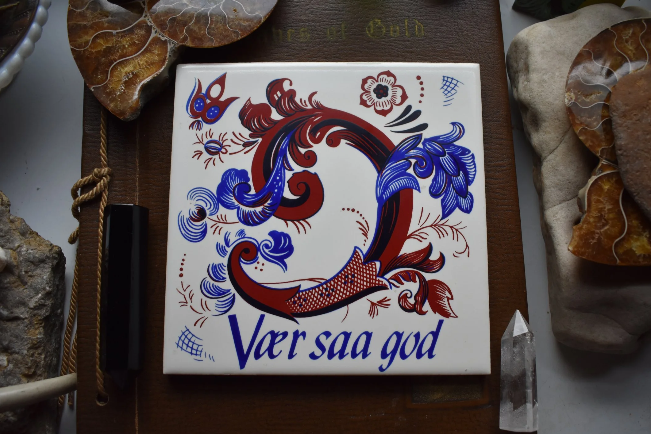 DSC_1000.png