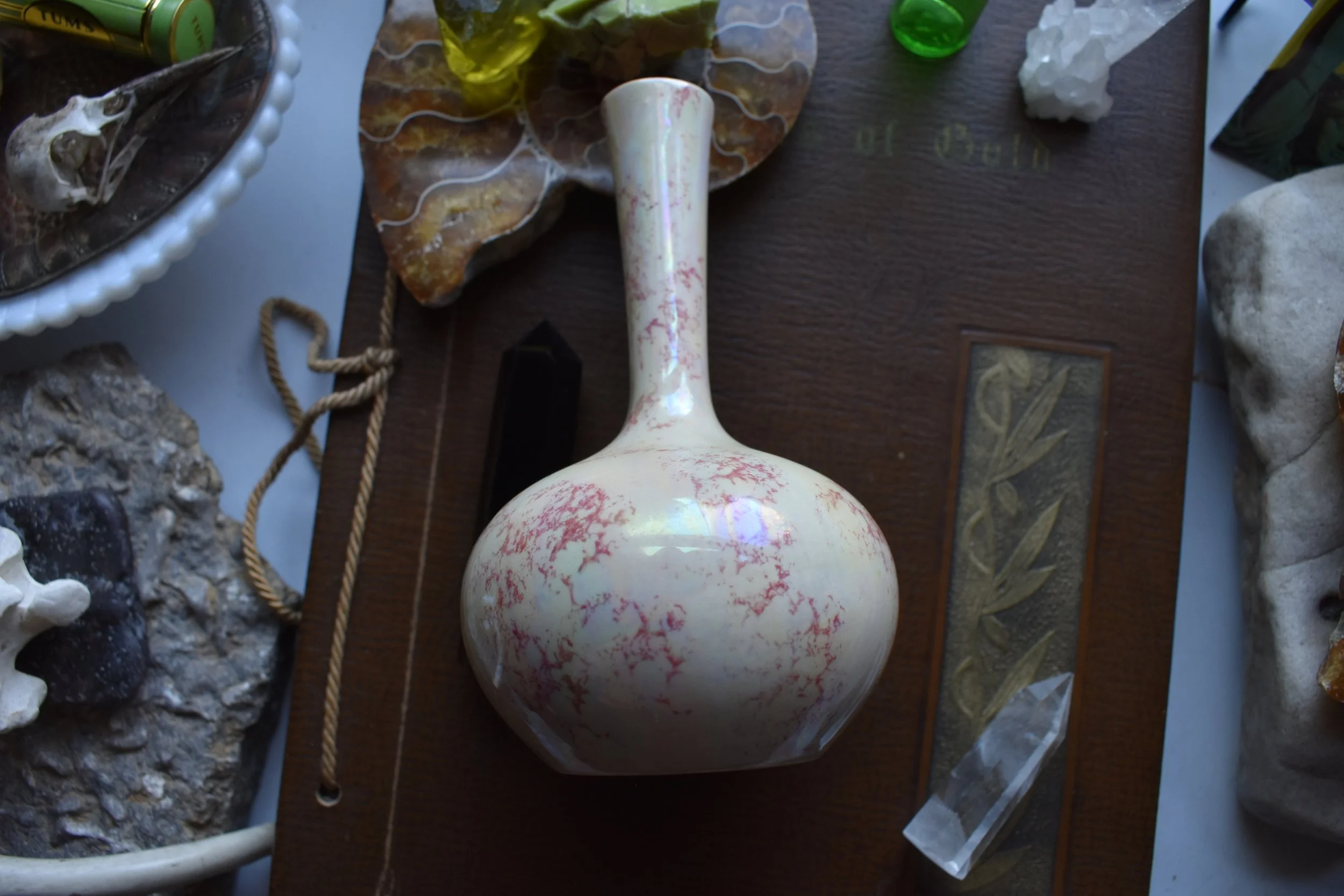 DSC_0043.JPG