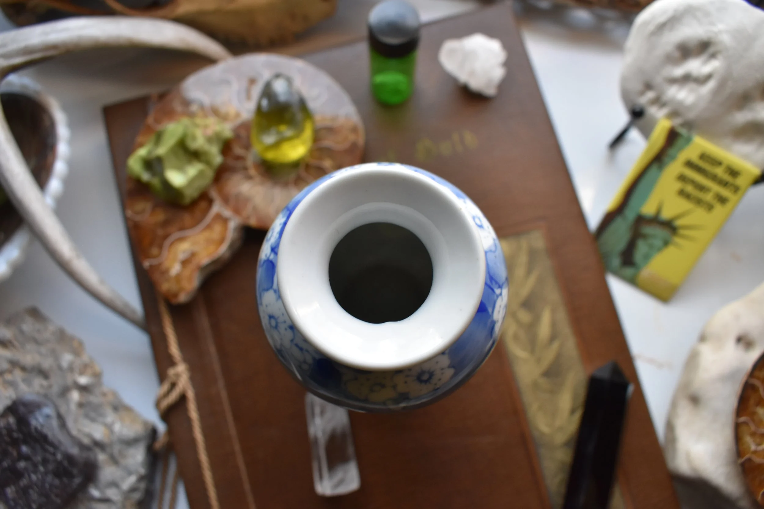 DSC_0818.JPG