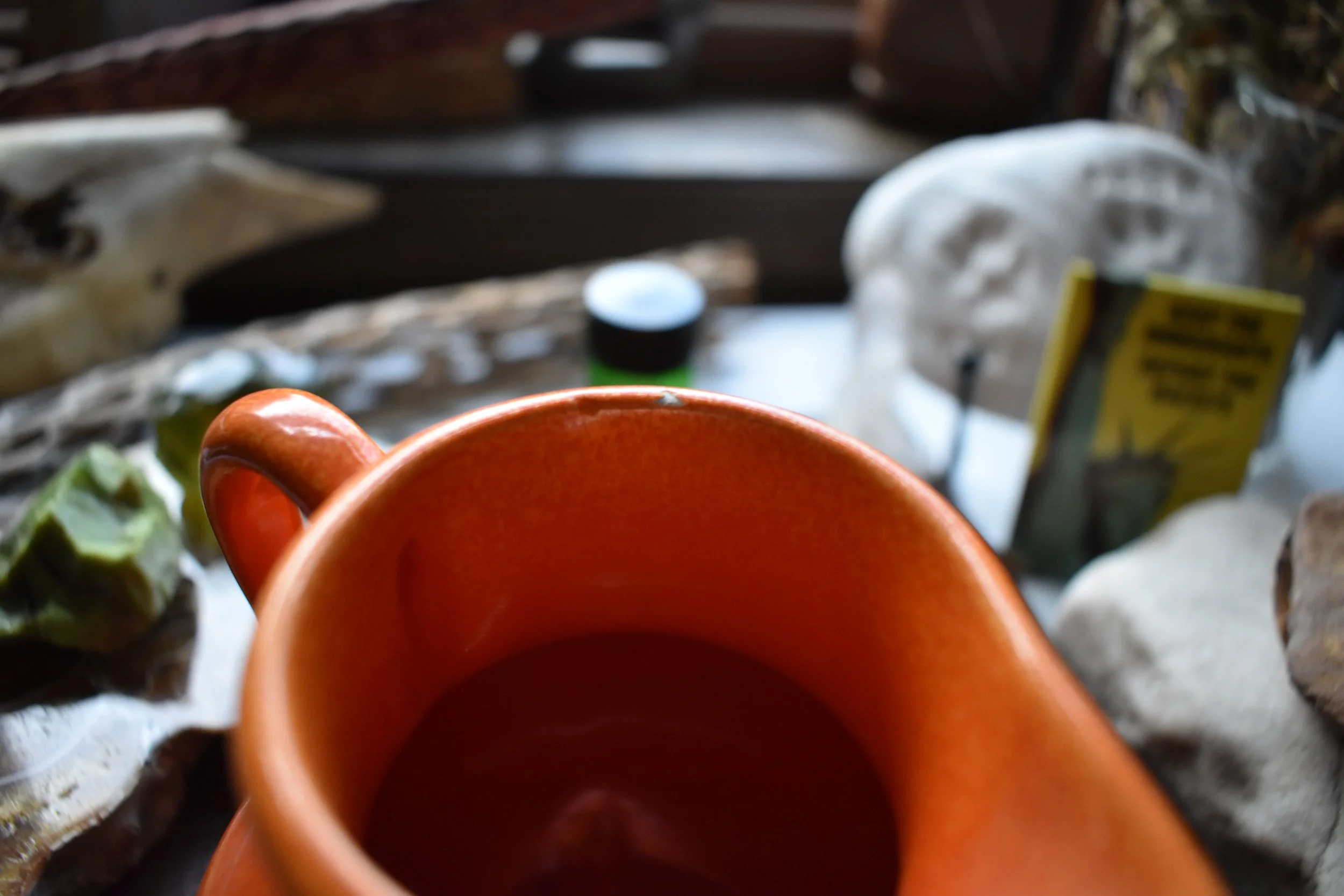 DSC_0985.JPG