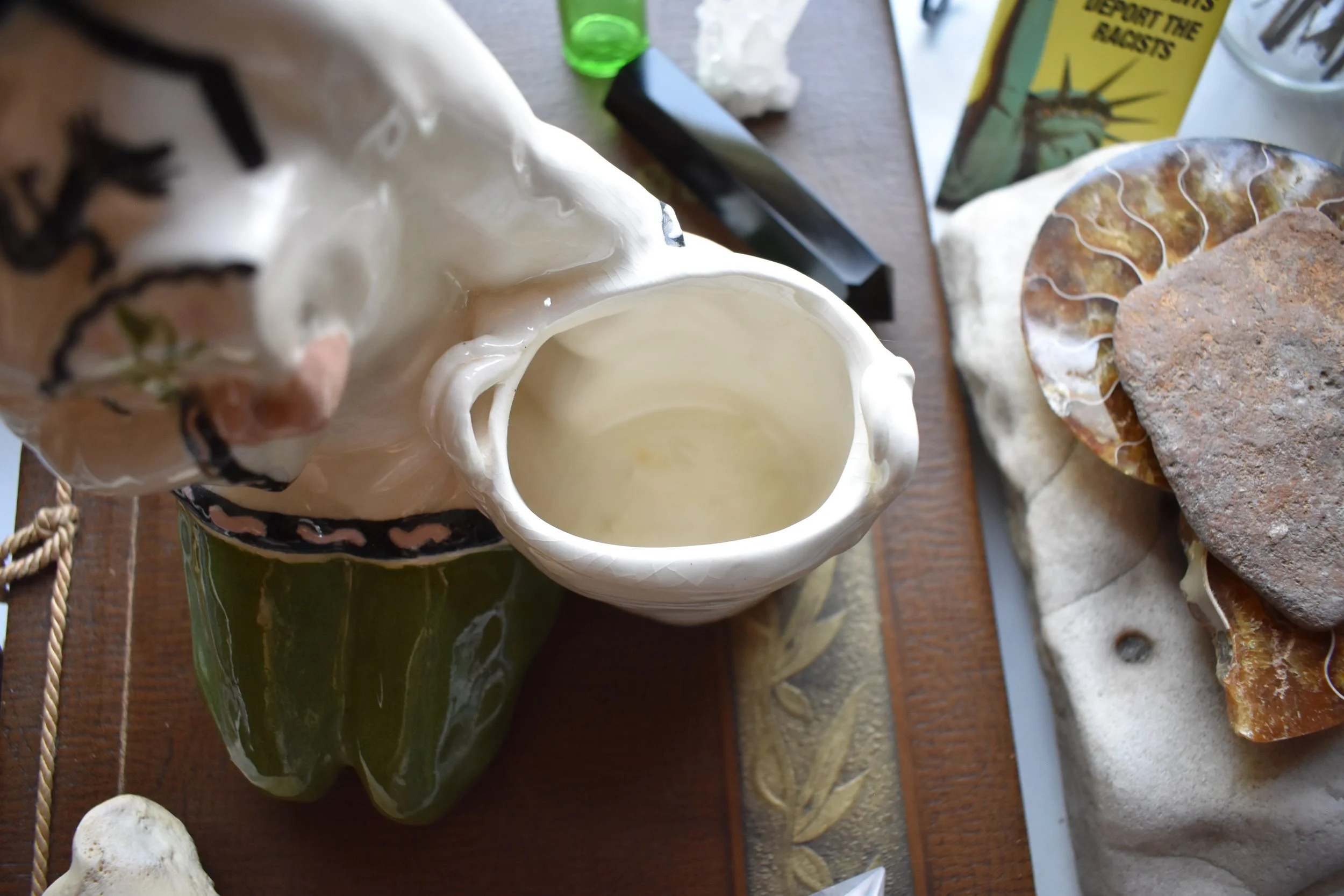 DSC_0923.JPG