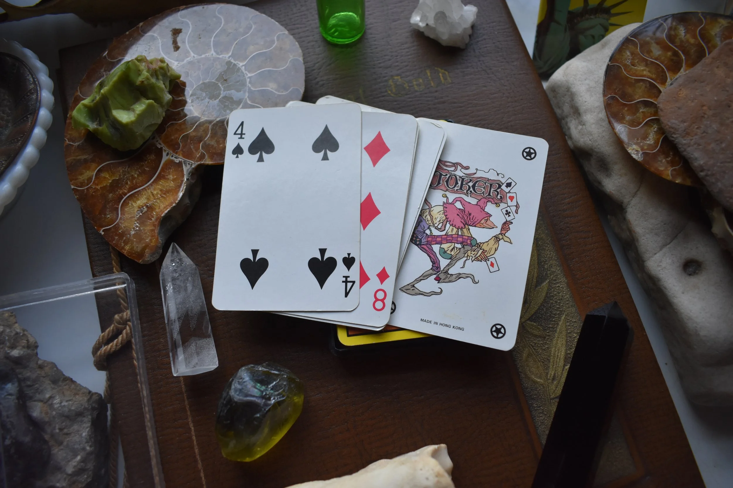 DSC_0894.JPG