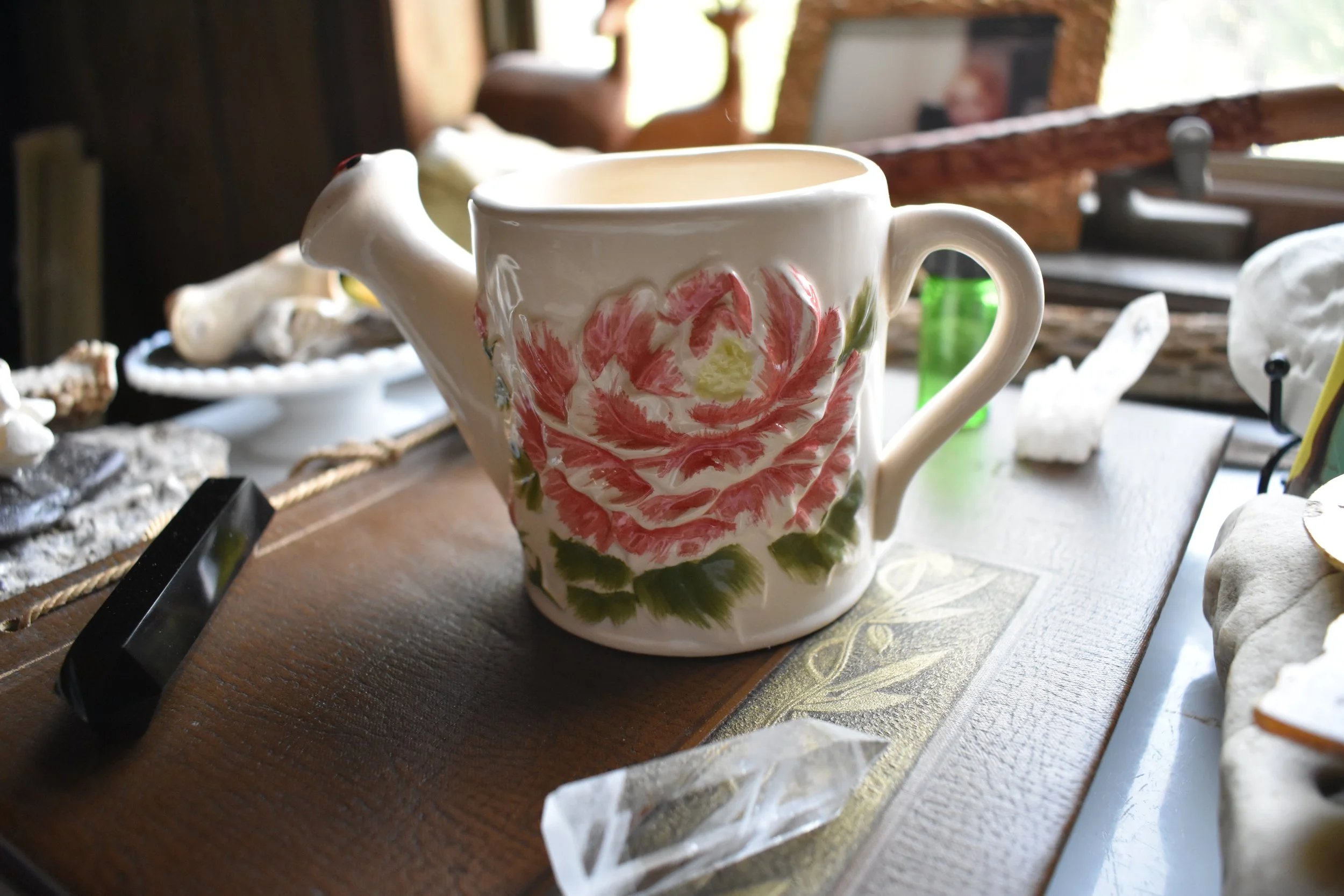 DSC_0025.JPG