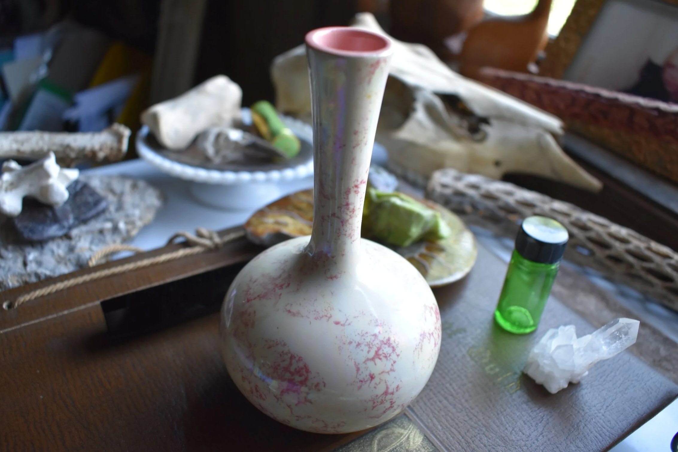 DSC_0042.png