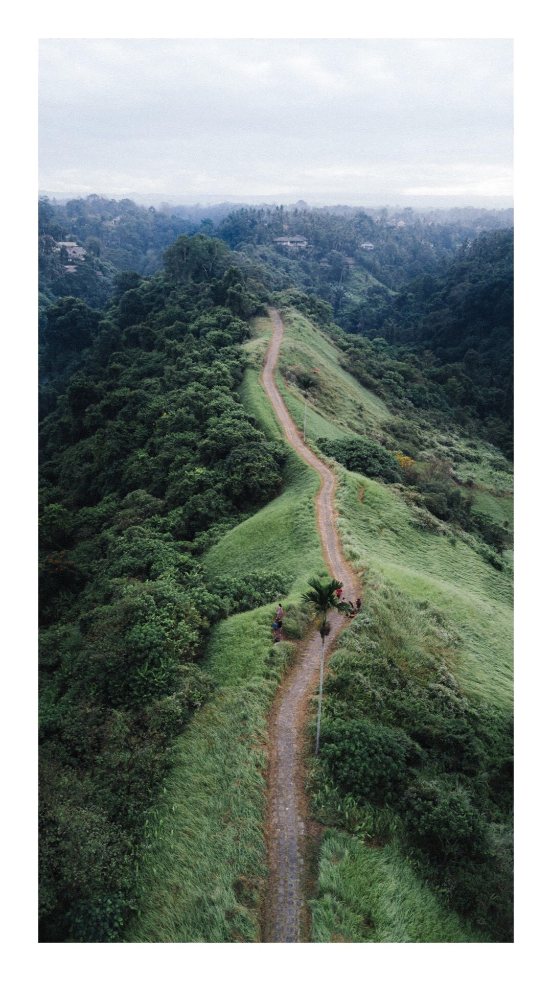 blog post on sustainable tips 2.jpg