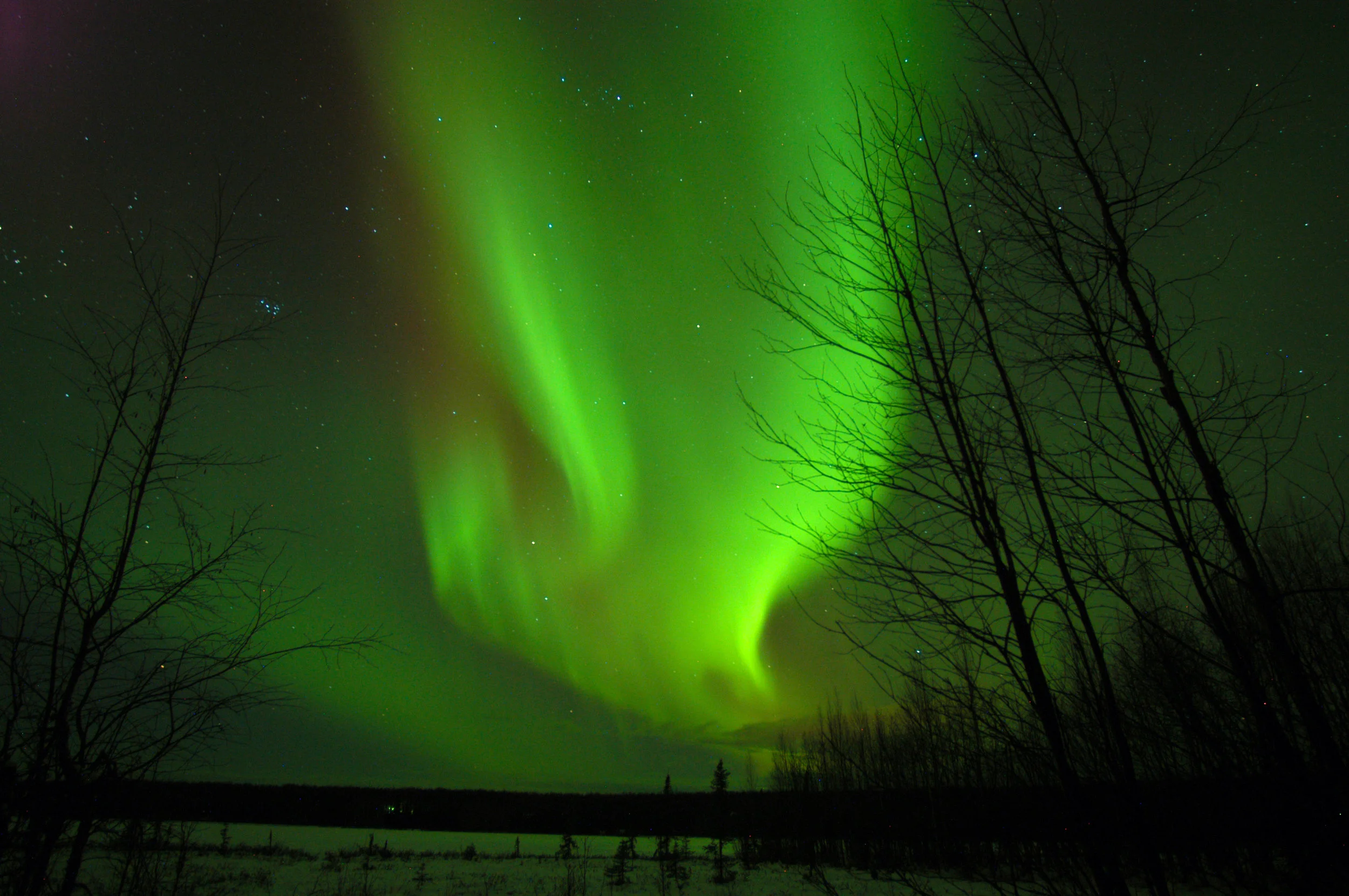 PRESS RELEASE: Lawsuit Against the Board of Game, Victory Confirmed!