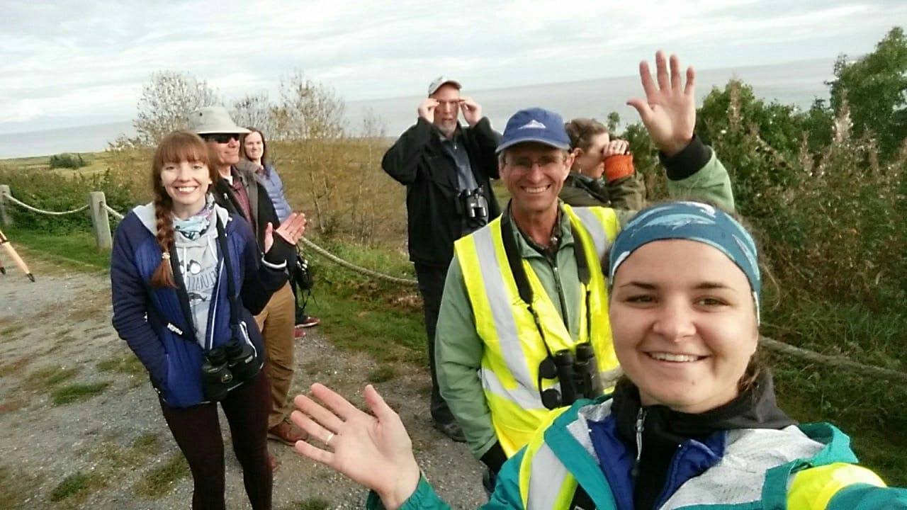 In the News: Beluga whale monitoring efforts looking for winter sightings in Kenai, Kasilof rivers and in lower Cook Inlet 