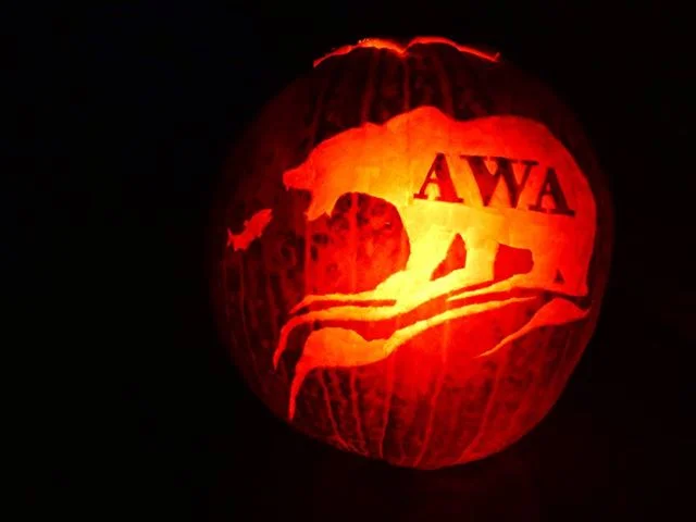AWA Pumpkin Carving Contest Deadline!