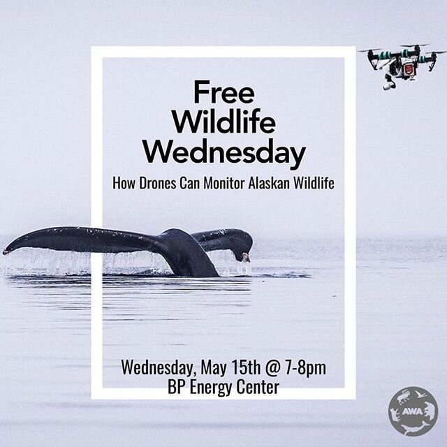 Join us in Anchorage! FREE donuts, FREE warm drinks, FREE presentation! 🍩🐳 📸 Ryan Marlow