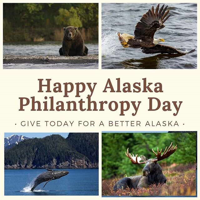 Today is Alaska Philanthropy Day! 100% of your donation to Alaska Wildlife Alliance goes to our program development. For the cost of a few cups of coffee you can make a difference for Alaska's wildlife.
Ways to give:
For Alaskans, give a portion of y