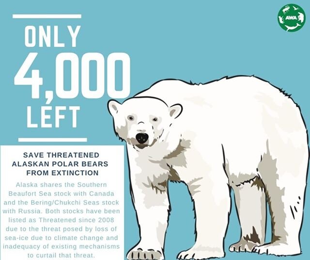 Alaska Polar Bear Bears United States America Travel Advertisement Poster 