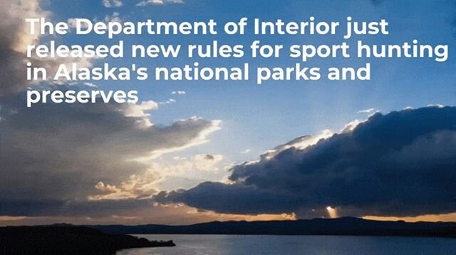 The Department of Interior announced two major rule changes that liberalize sport hunting methods and means in Alaska's national parks and preserves. We will continue to challenge these decisions from the ground up. Learn how you can help at www.akwi