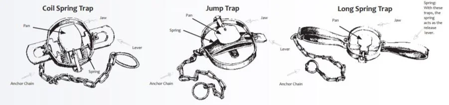 Kenai Peninsula Wildlife Wednesday: What you need to know about the upcoming trapping season