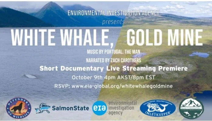White Whale, Gold Mine