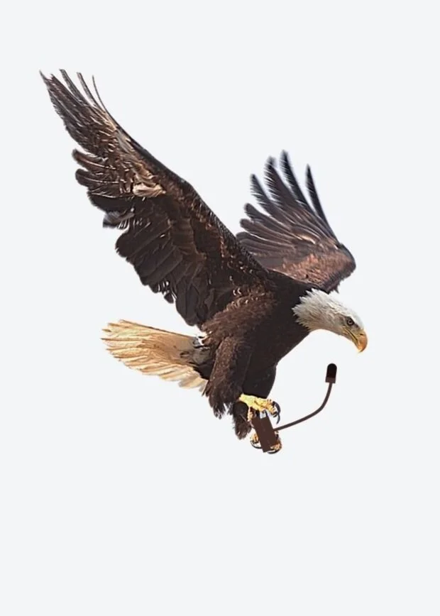 VIDEO: Training on how to use your voice for wildlife