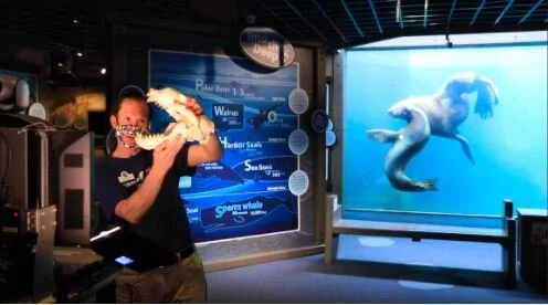 Wildlife Wednesday: Alaska Sealife Center 2020 Wildlife Response Season