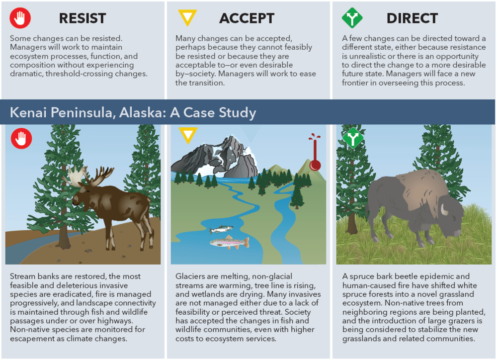 Climate Adaptation | Alaska Wildlife Alliance (AWA)