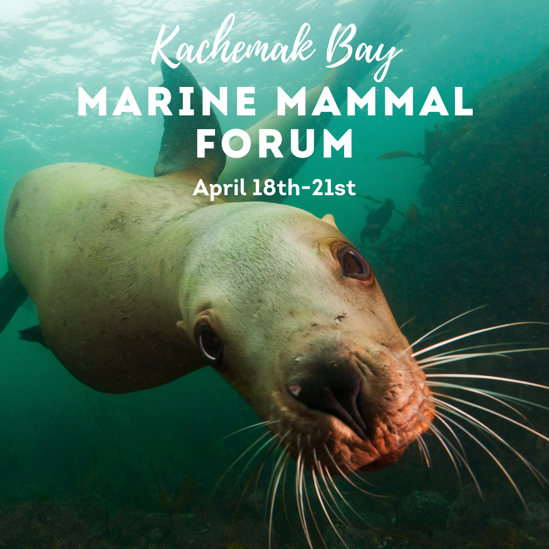 Kachemak Bay Marine Mammal Forum — Alaska Wildlife Alliance (AWA)