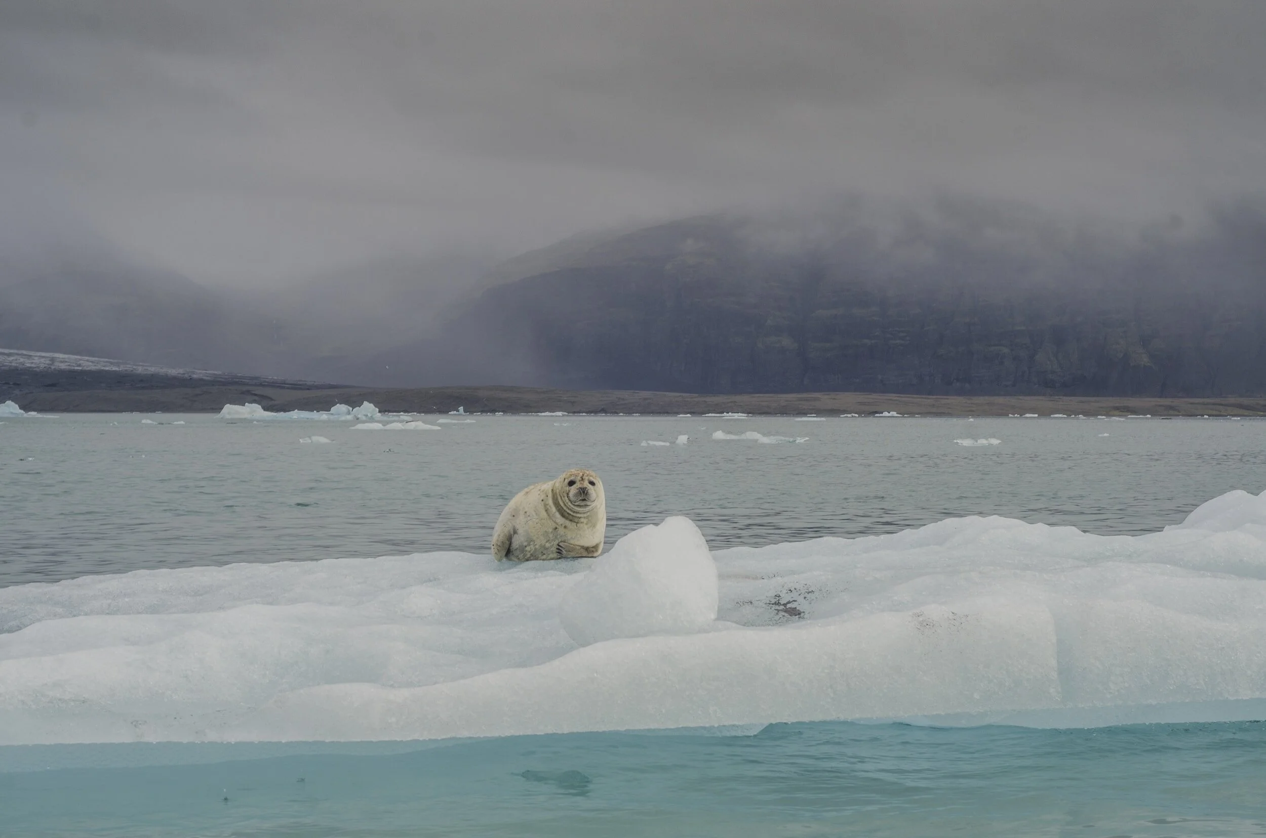 We Published! Impact of Climate Change on Alaska Natives in December 2023 Journal of Environmental Health
