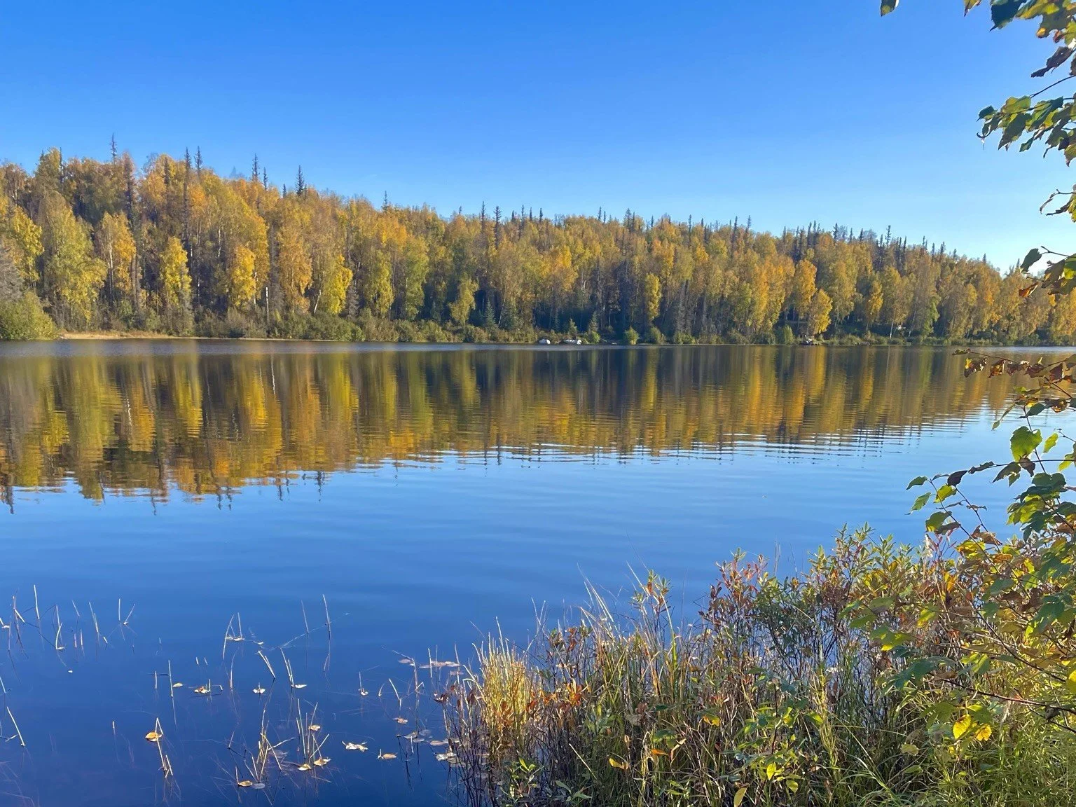 AWA's Vice President Gives Virtual Talk to a UAF Class on Resist-Accept-Direct