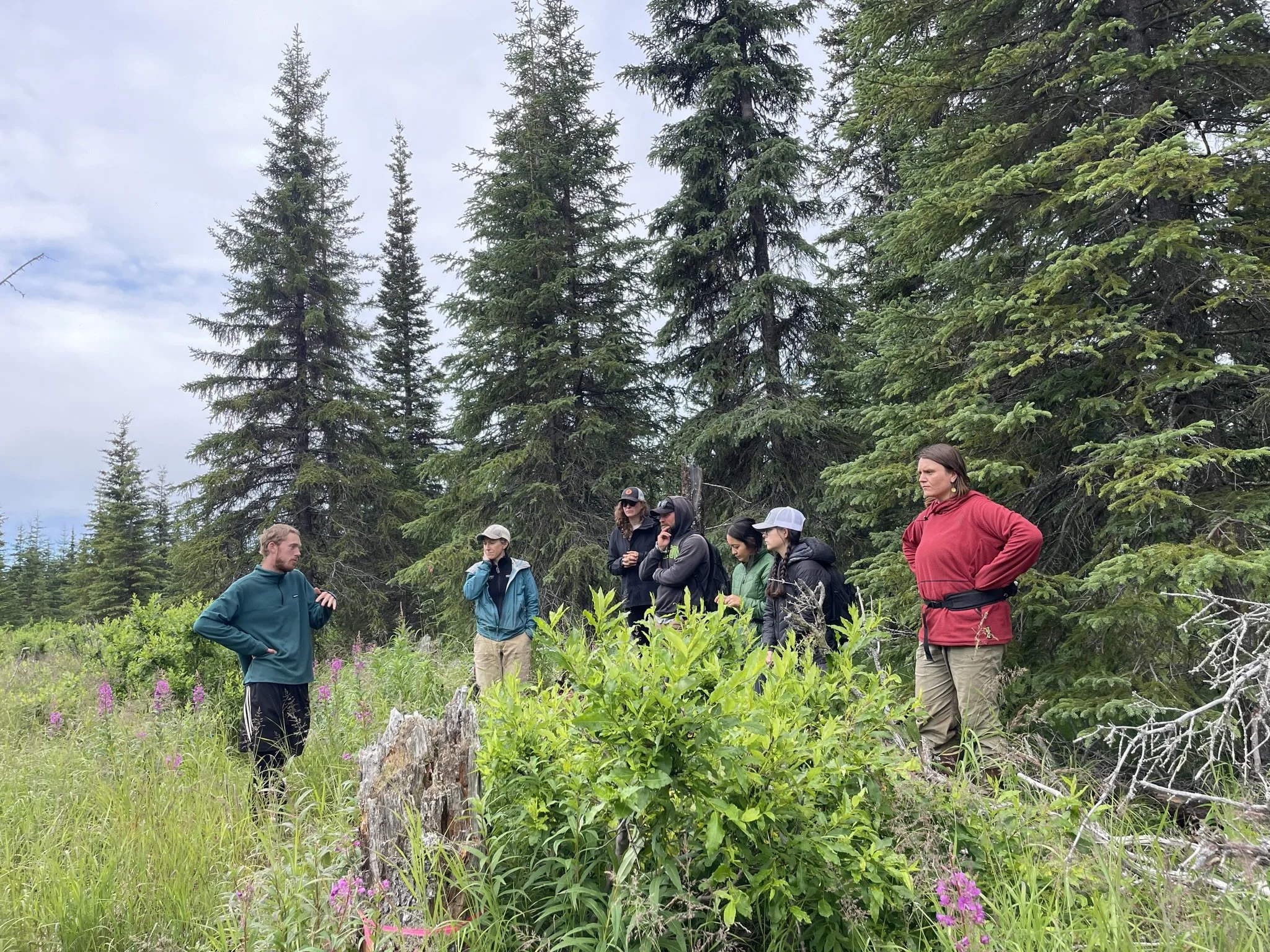  Planning where to build the beaver dam analog in 2024. 
