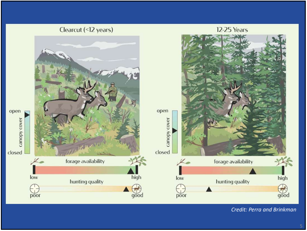 clear cut and 12-25 years.png