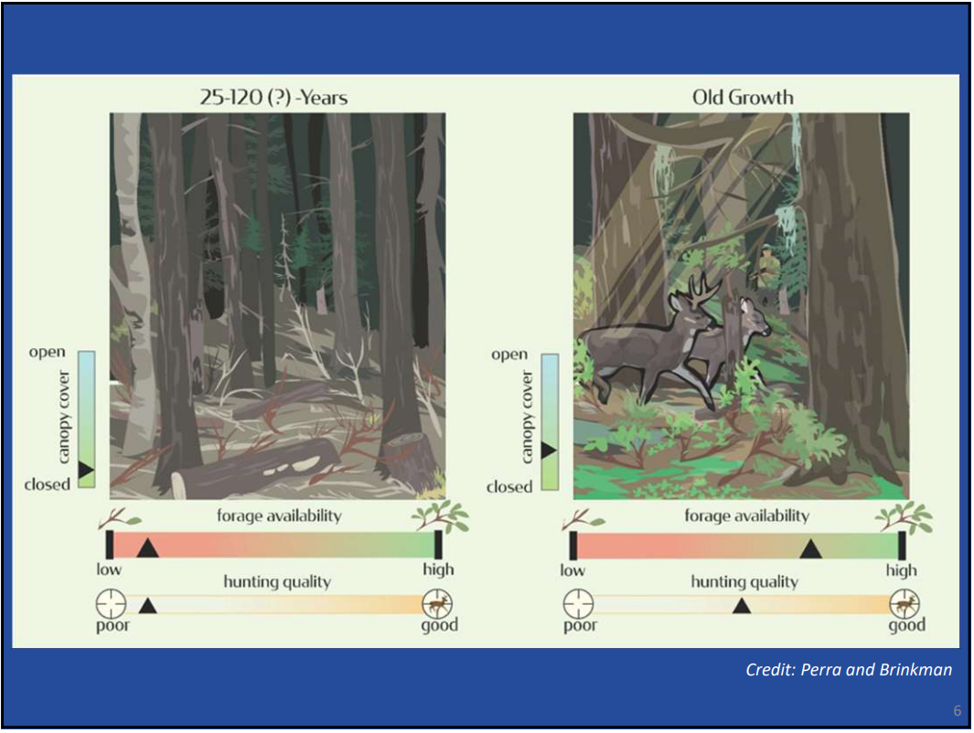 mid and old growth.png