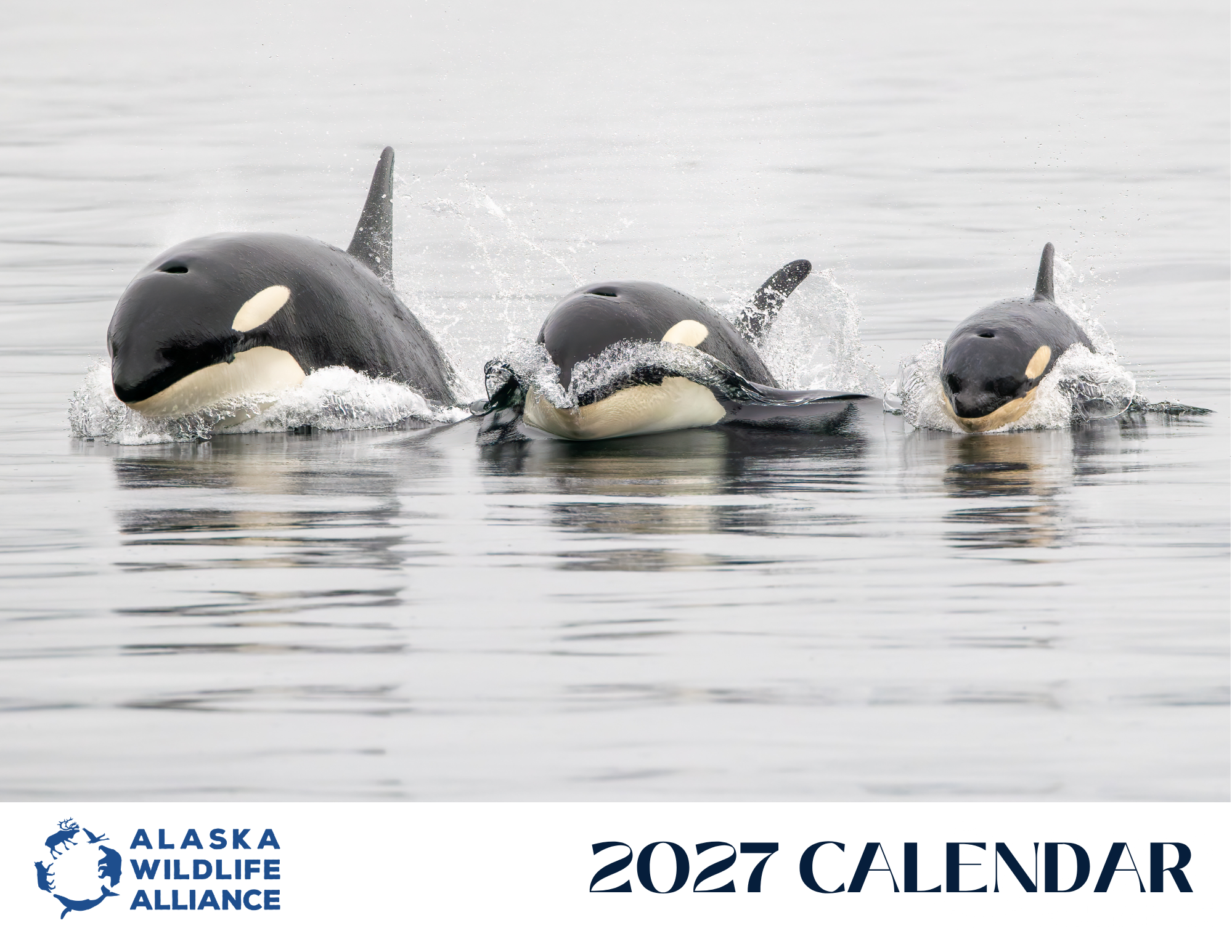 Calendar Contest Opens for Voting!
