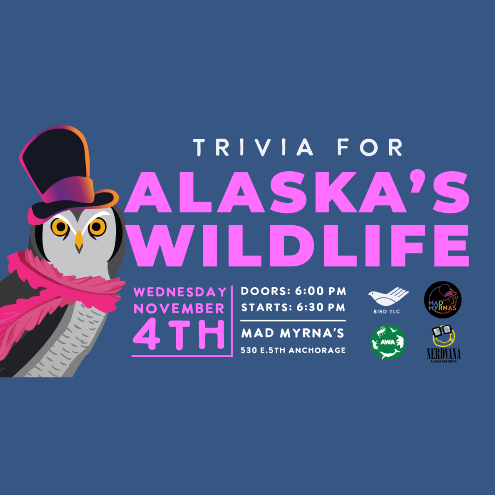 Wildlife Trivia at Mad Myrna's with Bird TLC