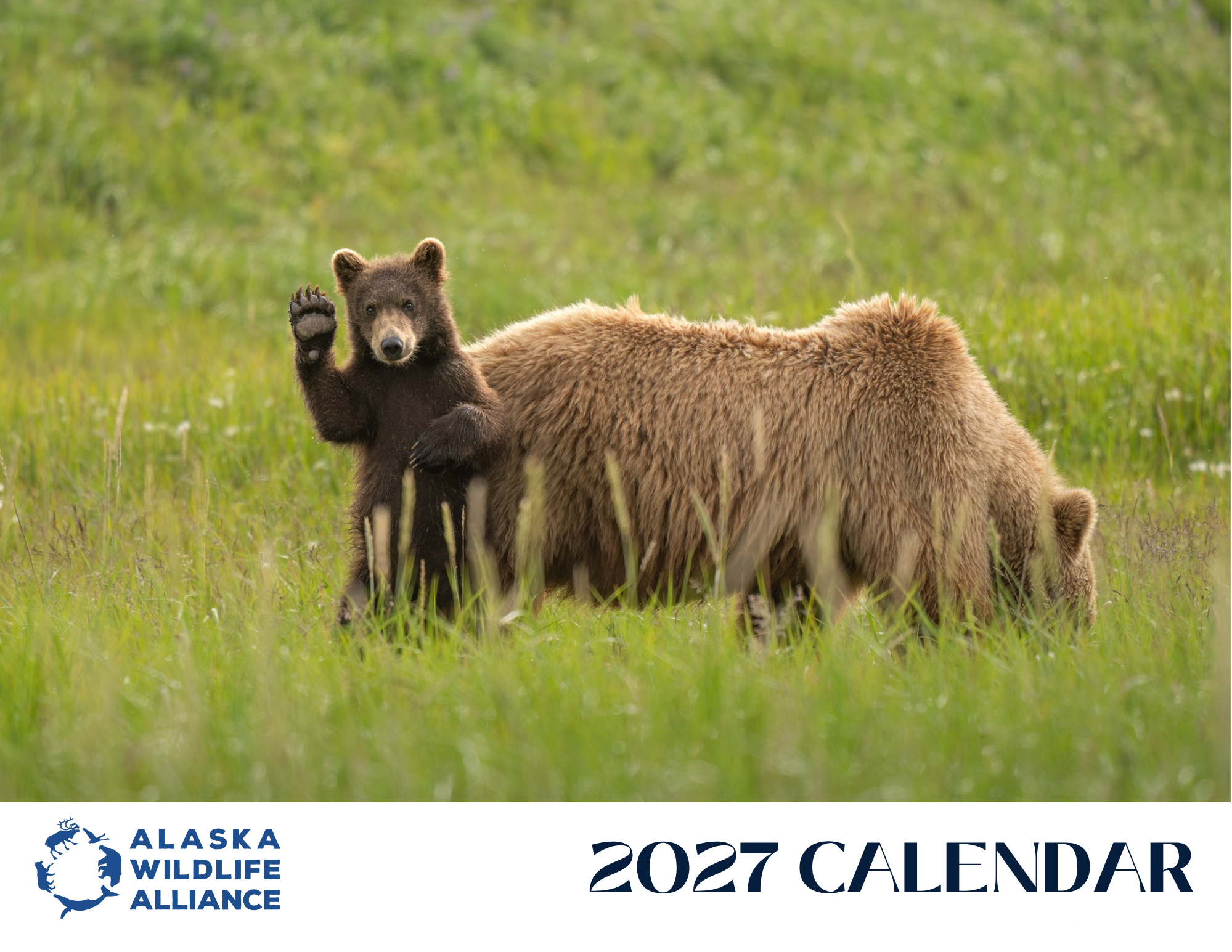 2027 AWA Wildlife Calendar.png