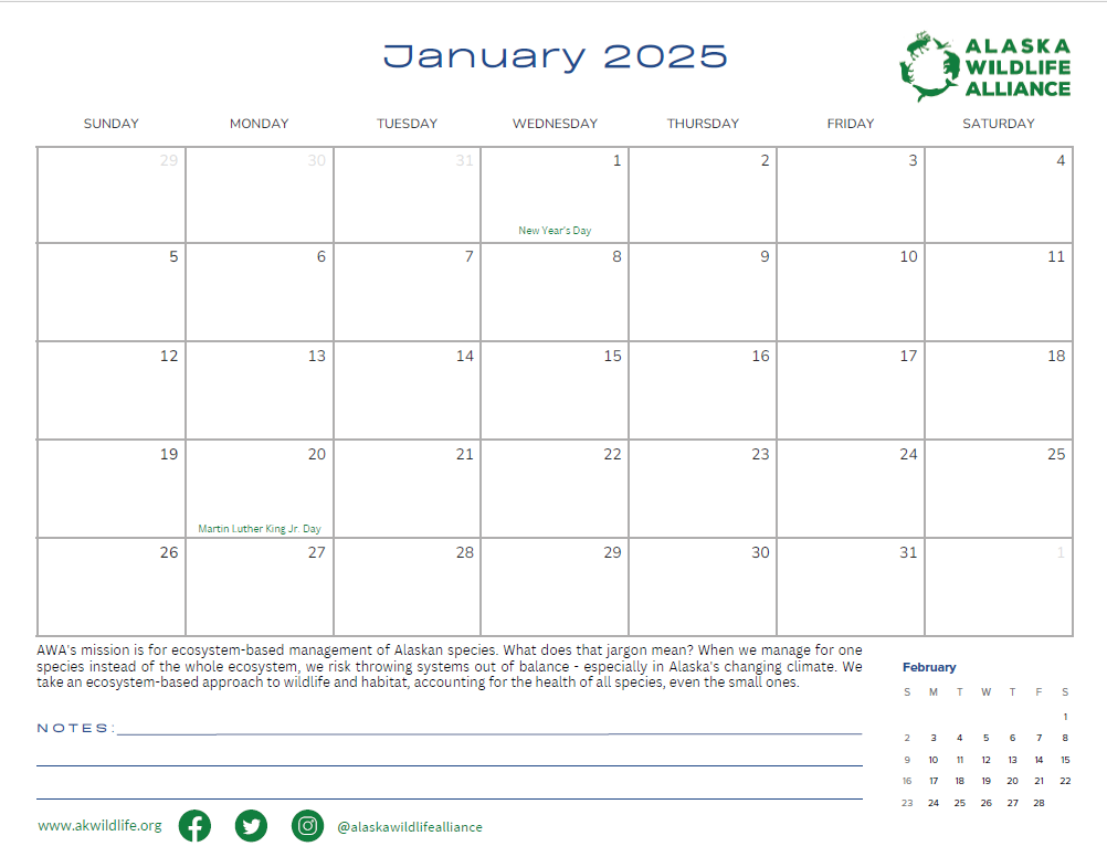 date table 2025.png