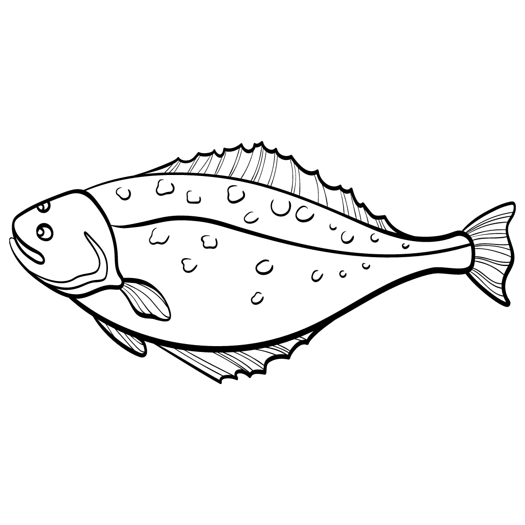 Pacific Halibut What Makes Alaska the Halibut Capitol of the World