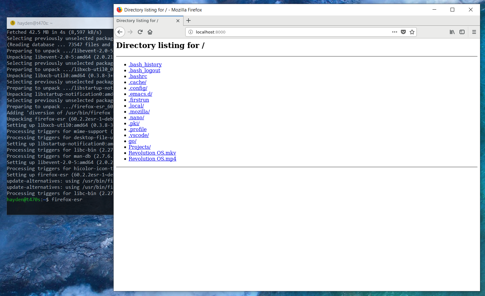 Fire up a web server to test your web app.