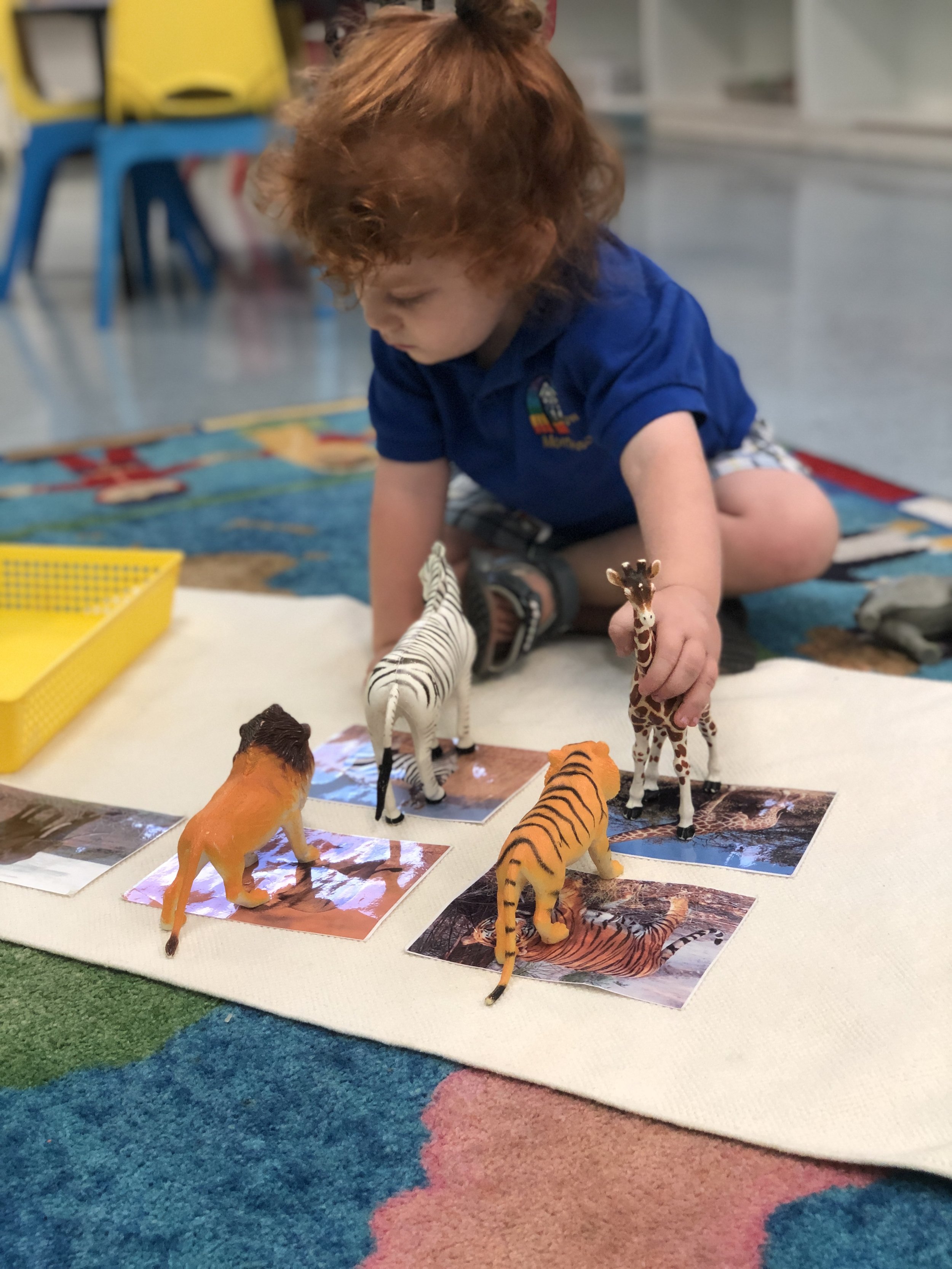 rainbow-montessori-multicultural-school