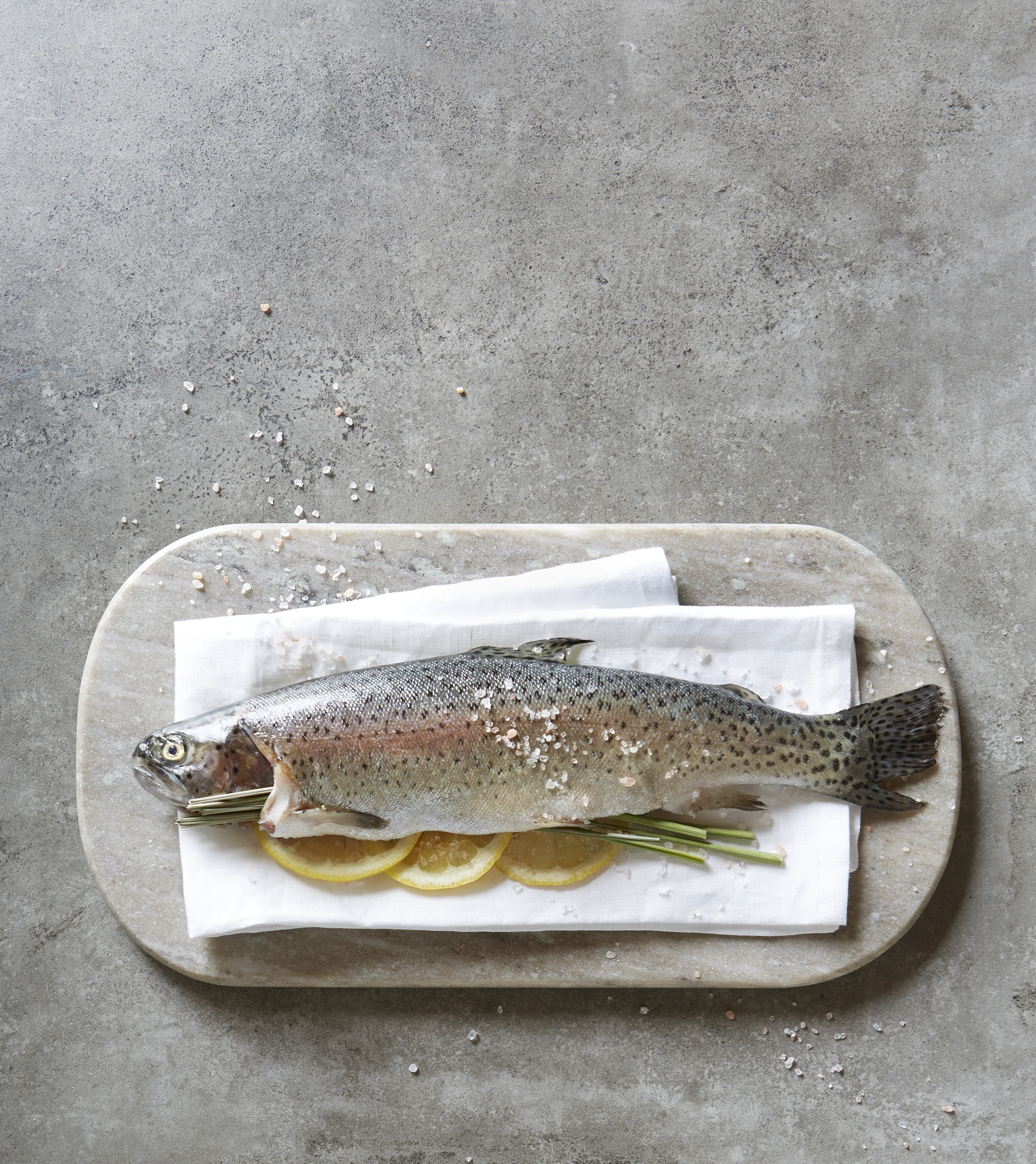 Trout Test 2 Final.jpg