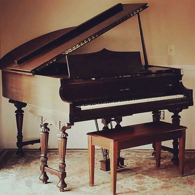 I am always on the lookout for cheap instruments, and this beauty is mine now! Did you know that music therapists must be proficient on piano, guitar, voice and percussion? .
#musictherapy #musictherapist #grandpiano #ivories #timetopractice
