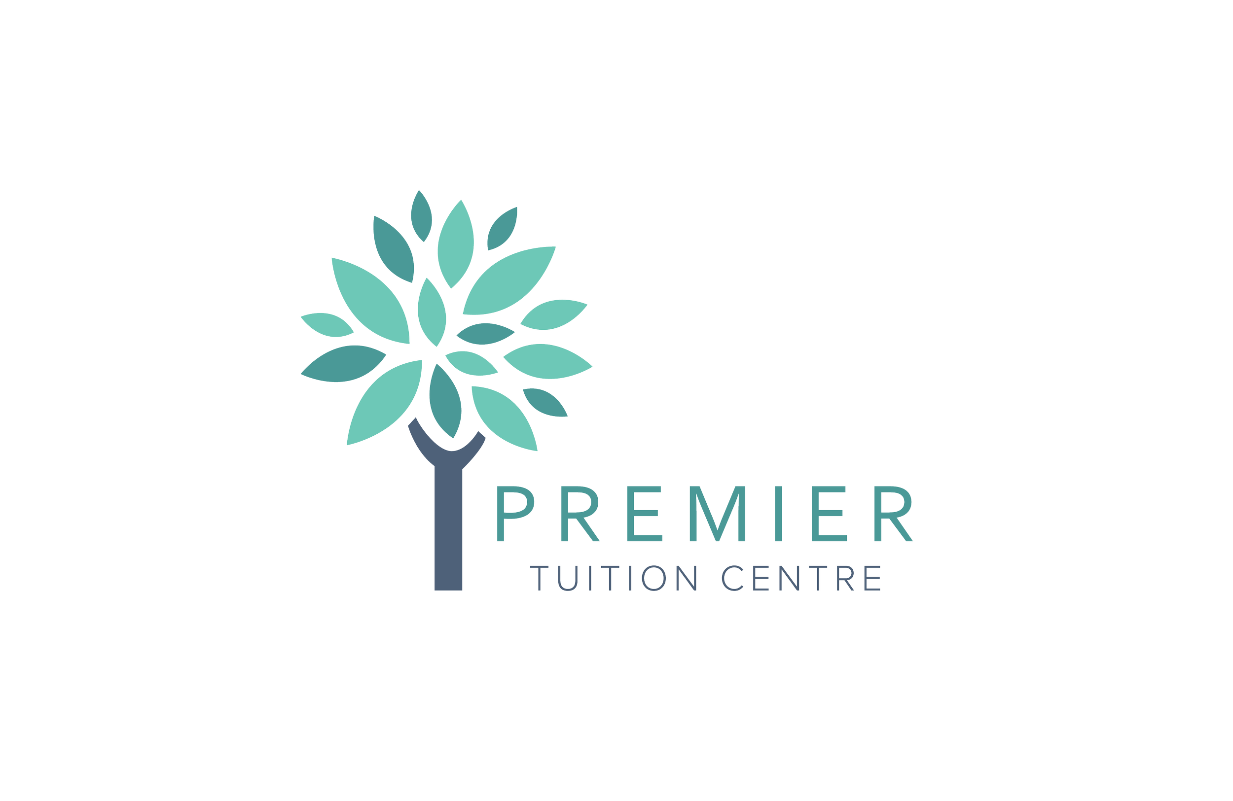 1_Premier Tuition_logo_100x650-01.png