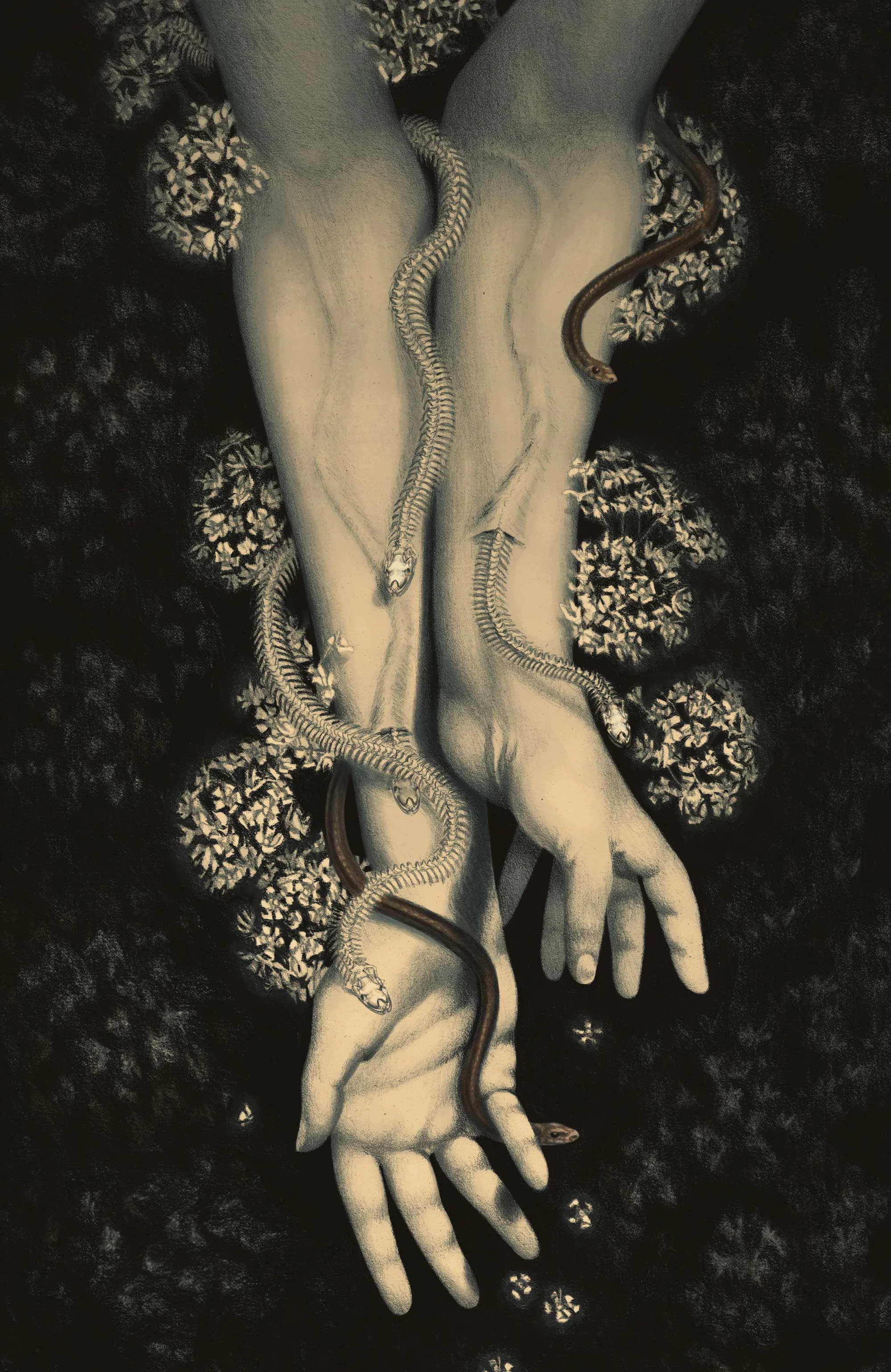 Slither_11x17_WebFull.jpg
