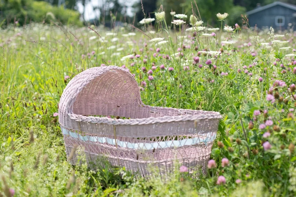 grass-lawn-meadow-flower-spring-backyard-918667-pxhere.com (1).jpg