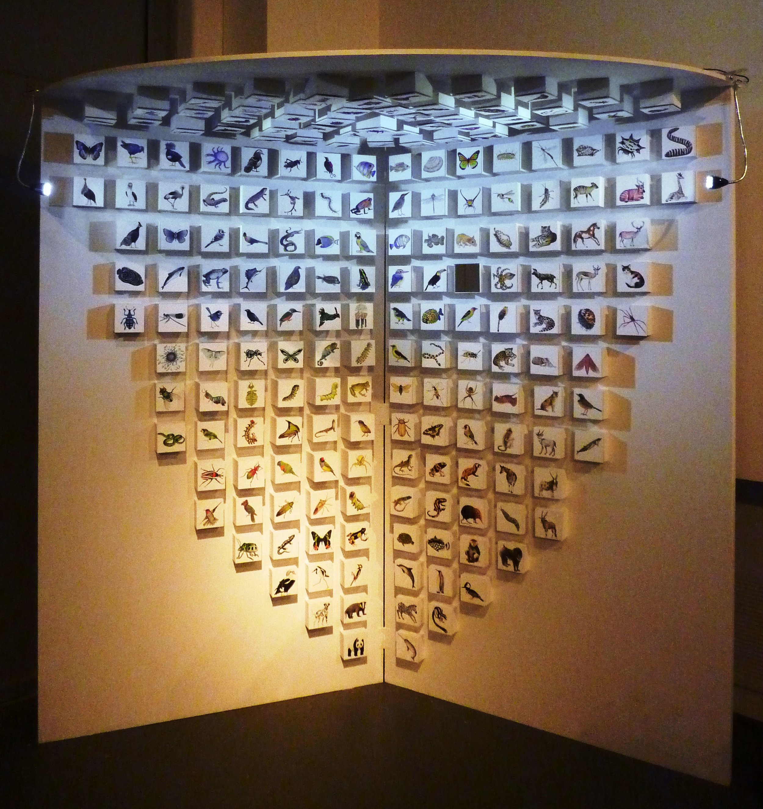  Work created for my Bachelor Degree show  Everything must go  (2011). This piece celebrates the diversity and beauty of animals and is made of 200 individual images. Each drawing represents a different colorful animal and is done in colored ink on c