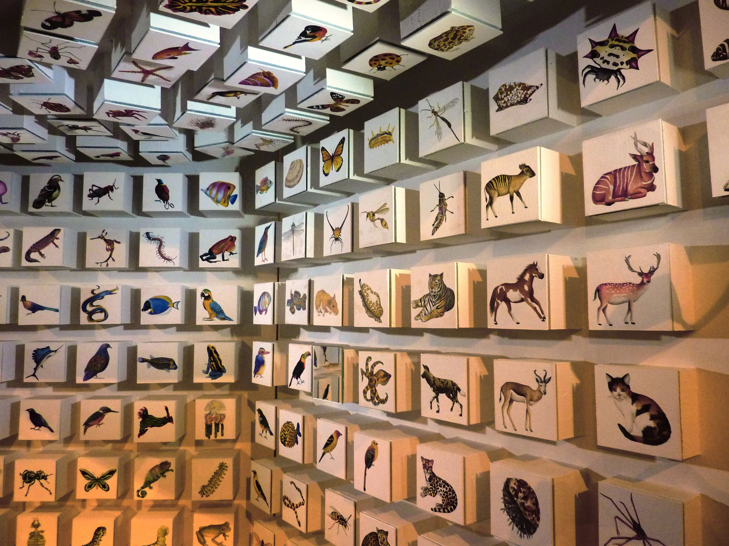 P1010445.JPG