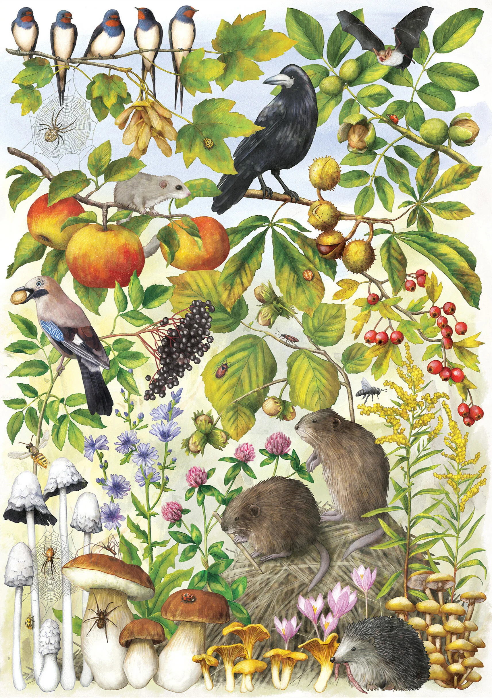  Poster for the magazine  Panewippchen,  2020 
