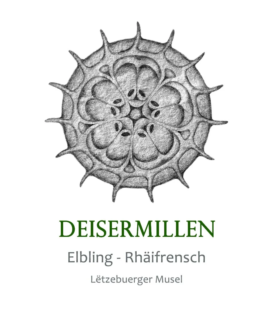  Design of a label for a luxemburgish wine, 2021 
