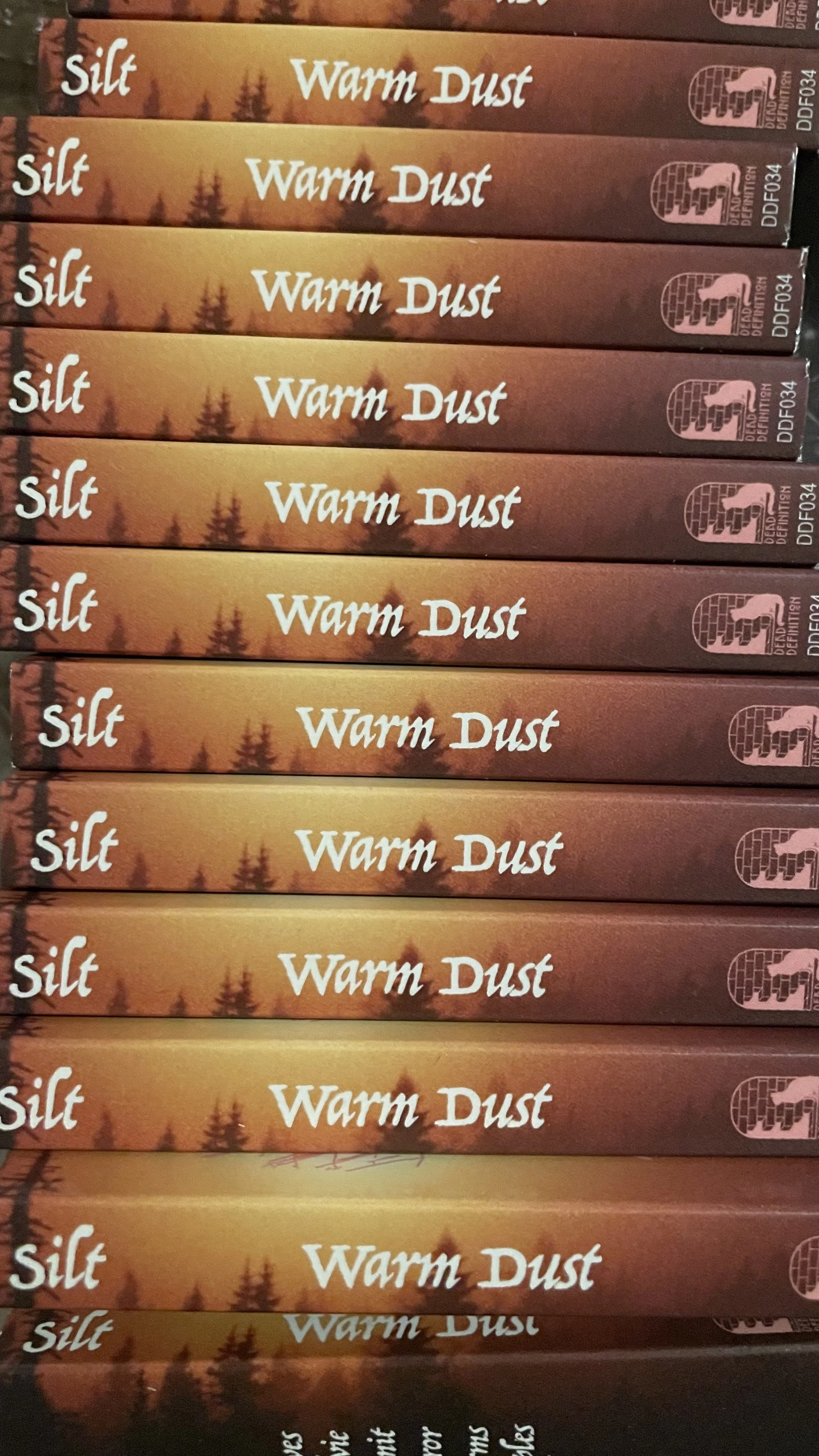 SILT'S NEW LP WARM DUST REVIEWED ON POST-TRASH