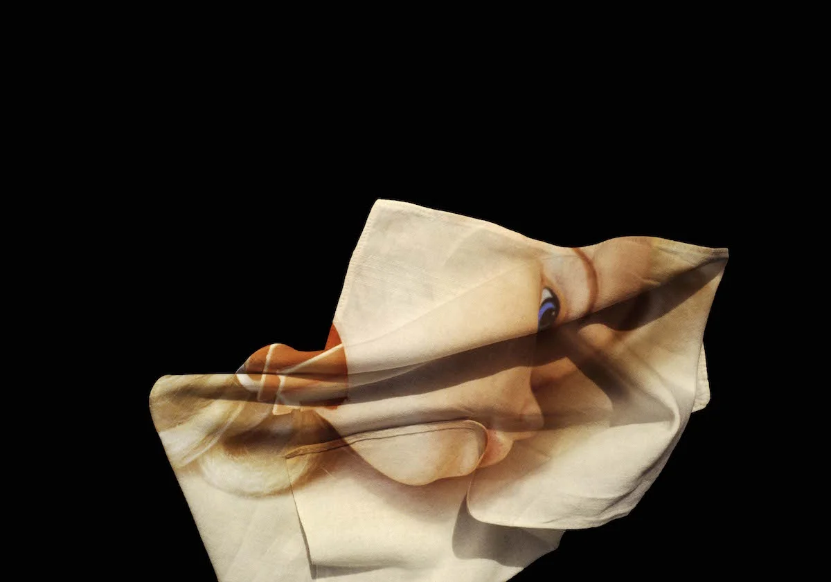 Folded Heads #4