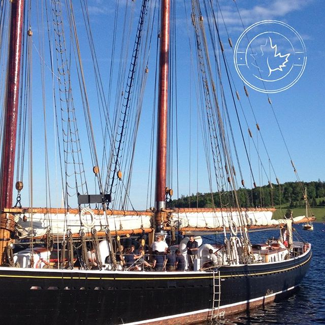 Bluenose II ⠀
#bluenose #antique #canadianhistory #canadiana #canadianaeducational