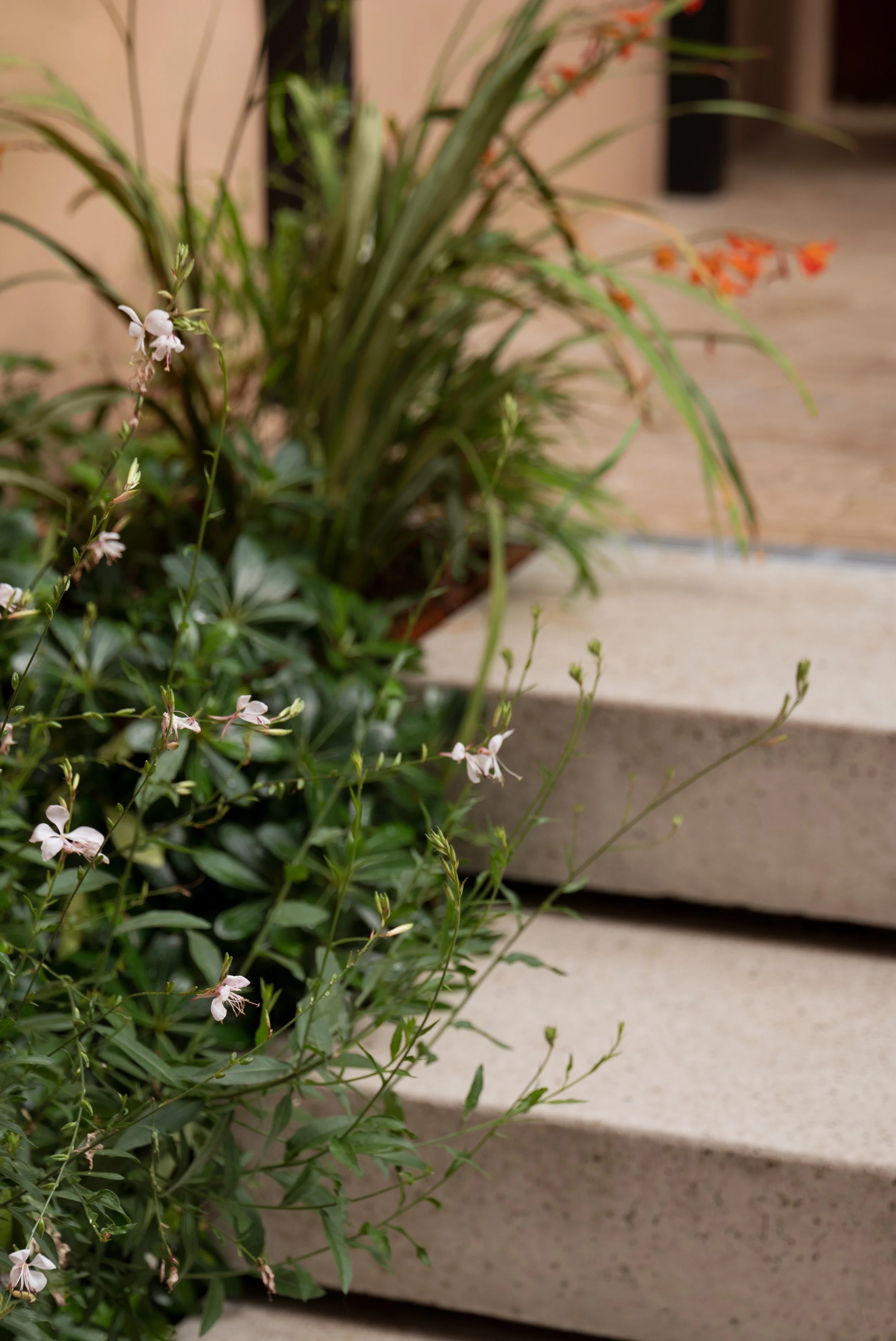 Scarsdale Villas 01.JPG