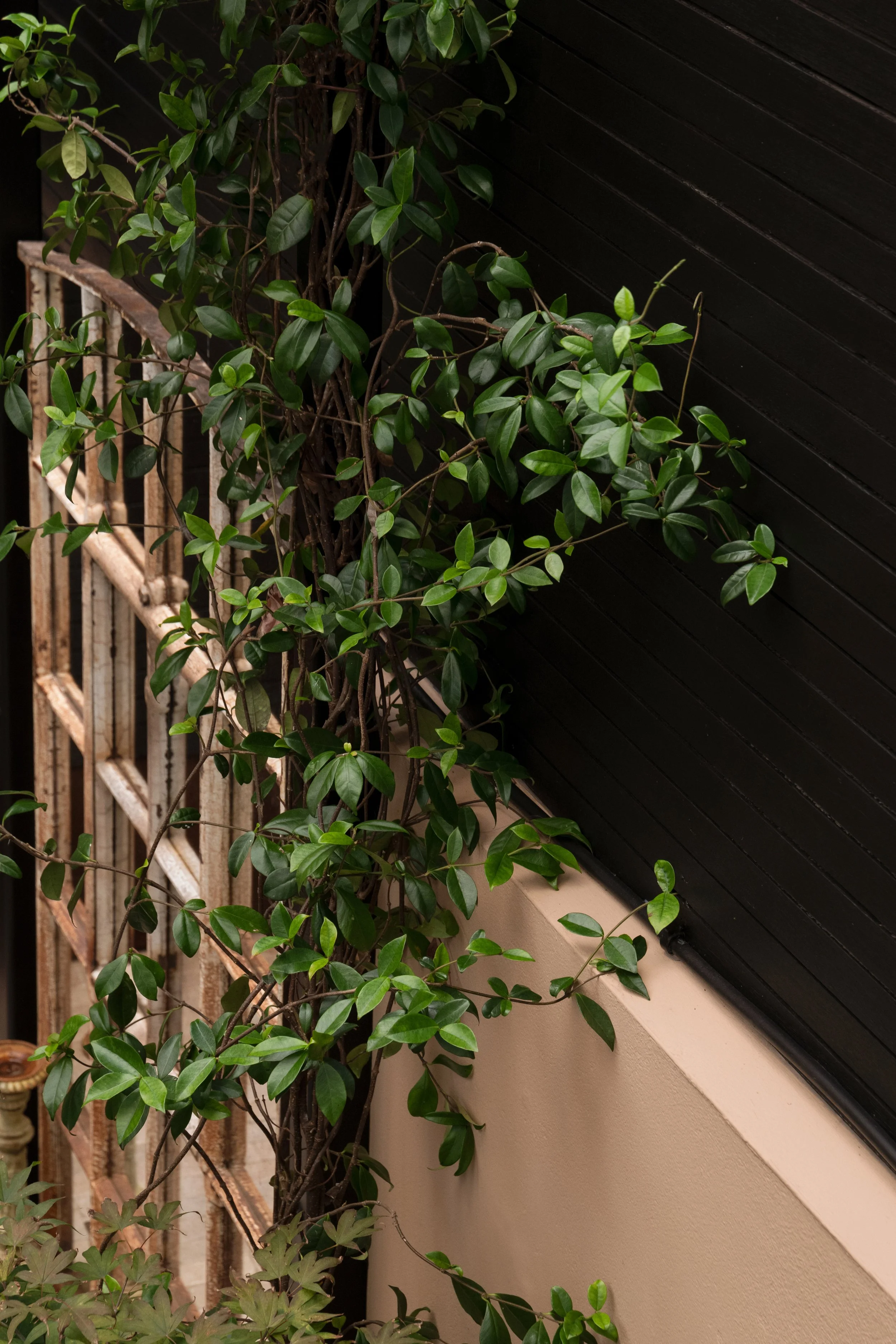 Scarsdale Villas 09.JPG