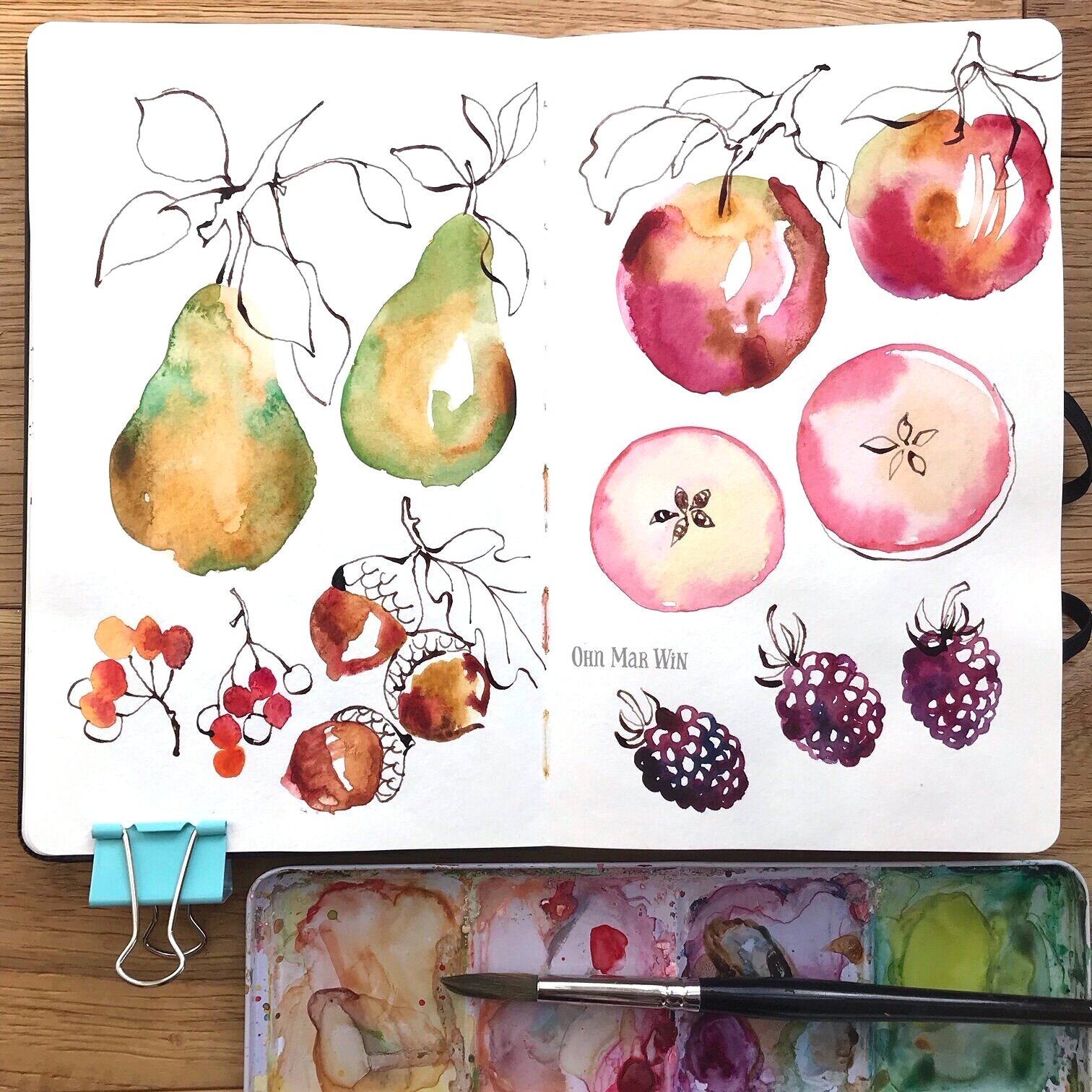 Painted fruit