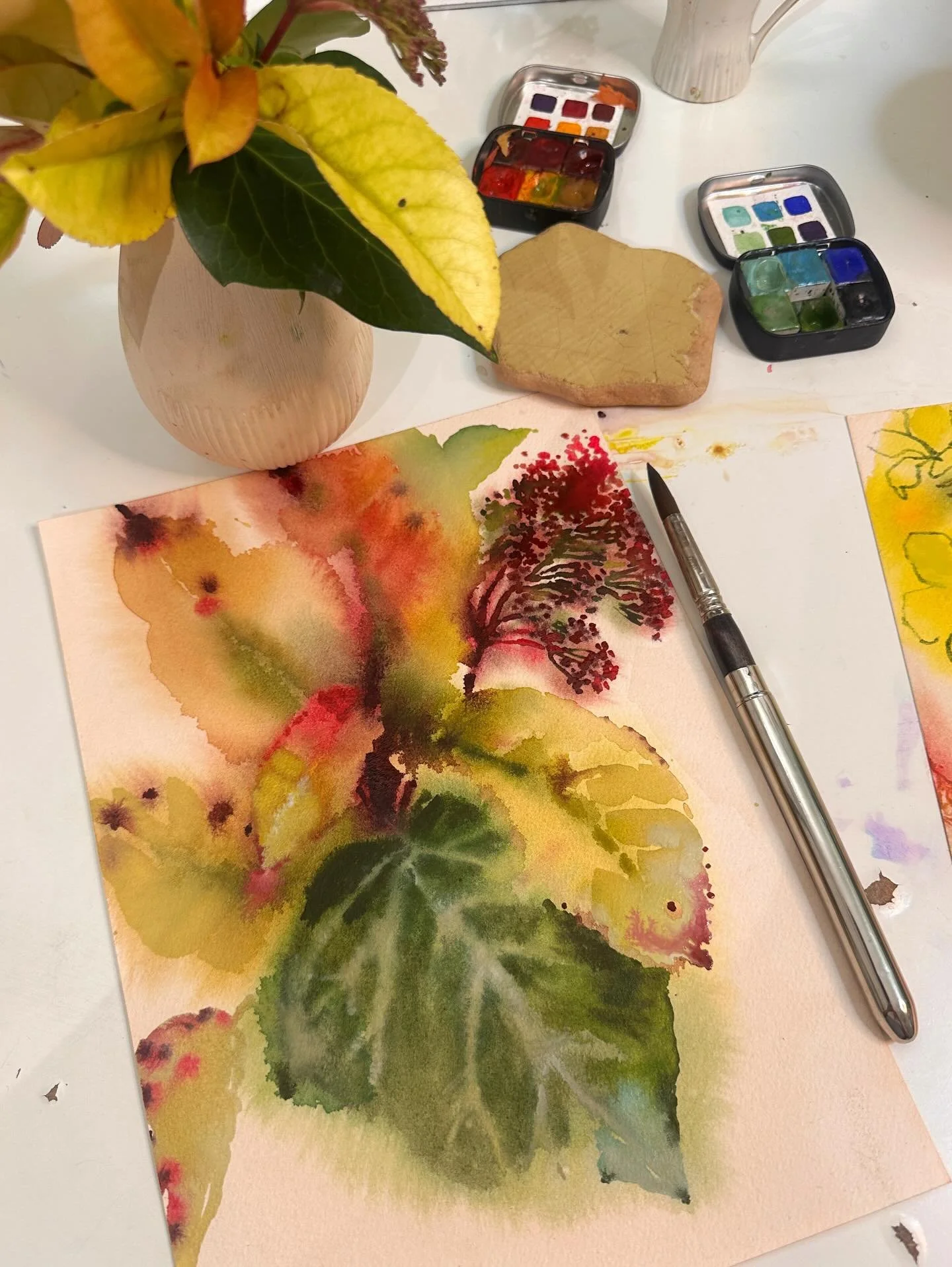 I love the colour of these leaves - the speckles of magenta and bordeaux on the muted olivey yellows. 
So interesting to watch them bleed into one another. 

#watercolortechnique #watercolorleaves #abstractbotanical